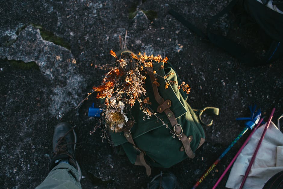 Top view of unrecognizable backpacker standing near rucksack with flowers placed on ground near trekking sticks for hiking in nature