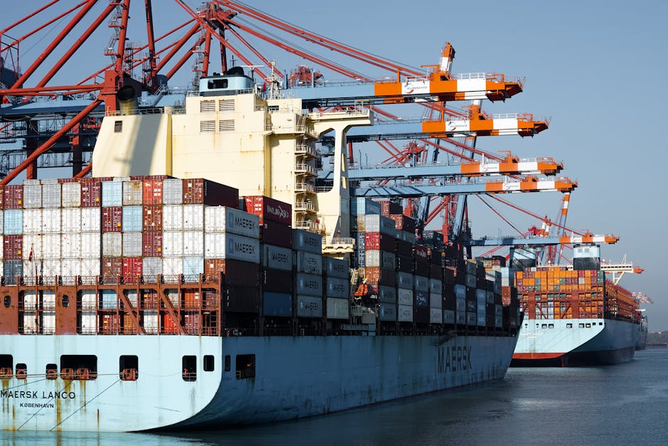 Container ships and cranes in Hamburg port, showcasing global trade and logistics.