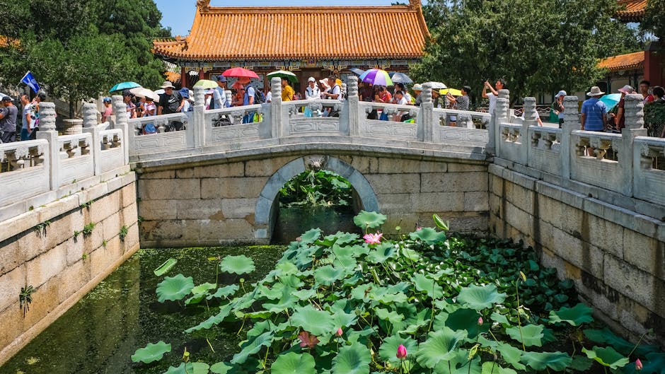Tourists with umbrellas on a bridge in Beijing, surrounded by lotus flowers in summer.