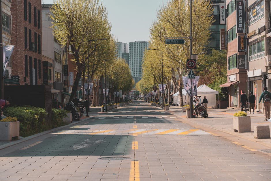 Sunny street lined with trees and modern buildings, showcasing urban life.