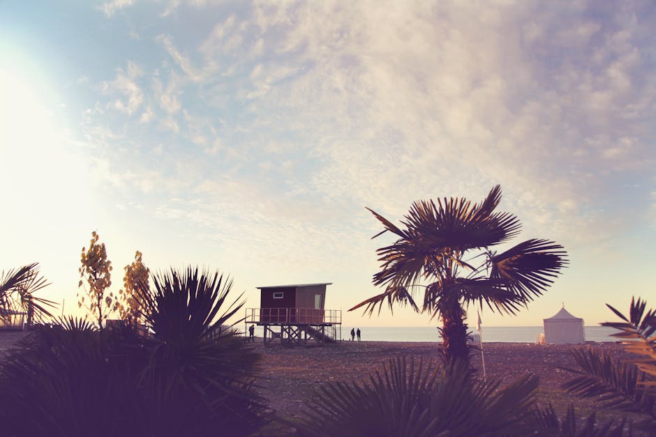 Scenery of exotic sandy beach with lush tropical palms and small lifeguard house against endless ocean on clear summer day