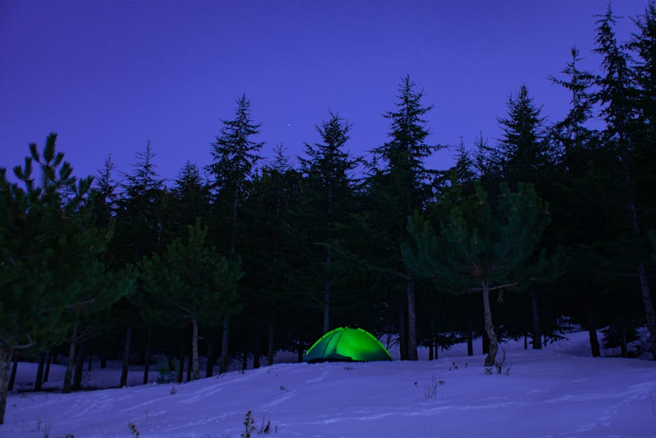 A vibrant green tent amidst a snowy forest during twilight in Ardıç, Kayseri, Türkiye.