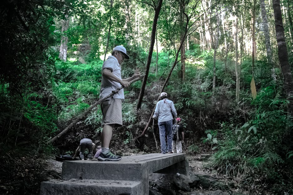 A family enjoys a hiking adventure across a lush green forest trail, exploring nature together.