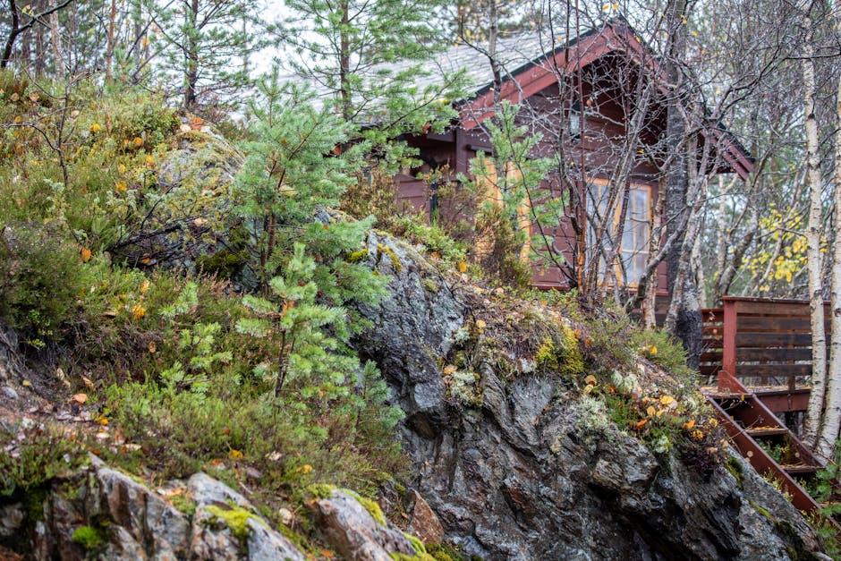 A charming wooden cabin nestled into a rocky forest landscape during autumn, surrounded by greenery.