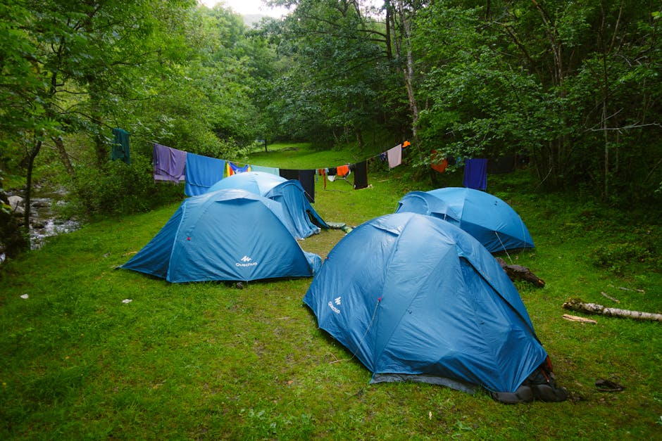 Blue tents set up in a lush green forest campsite, ideal for nature lovers.