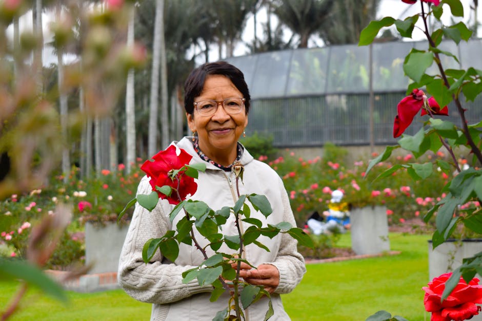 Elderly woman enjoying a beautiful day in a vibrant rose garden in Bogotá, Colombia.