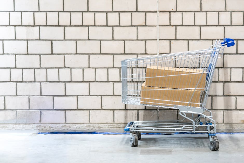 Shopping cart with cardboard boxes against a concrete block wall. Minimalist and industrial setting.