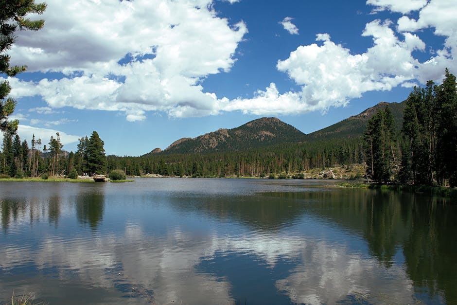 Peaceful mountain lake scene with pine trees and calm water reflection under a bright sky.