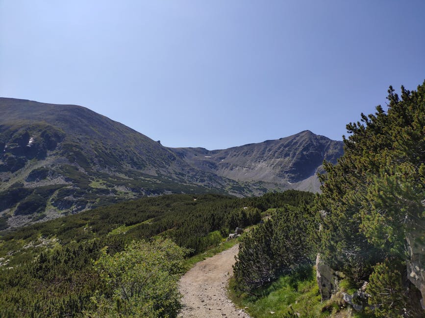 Beautiful mountain landscape with an unpaved pathway under clear blue skies, perfect for hiking and nature exploration.