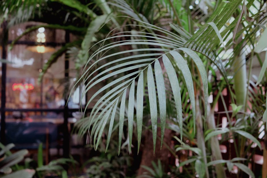 Captivating close-up of vibrant green palm leaves in a Jakarta garden setting.