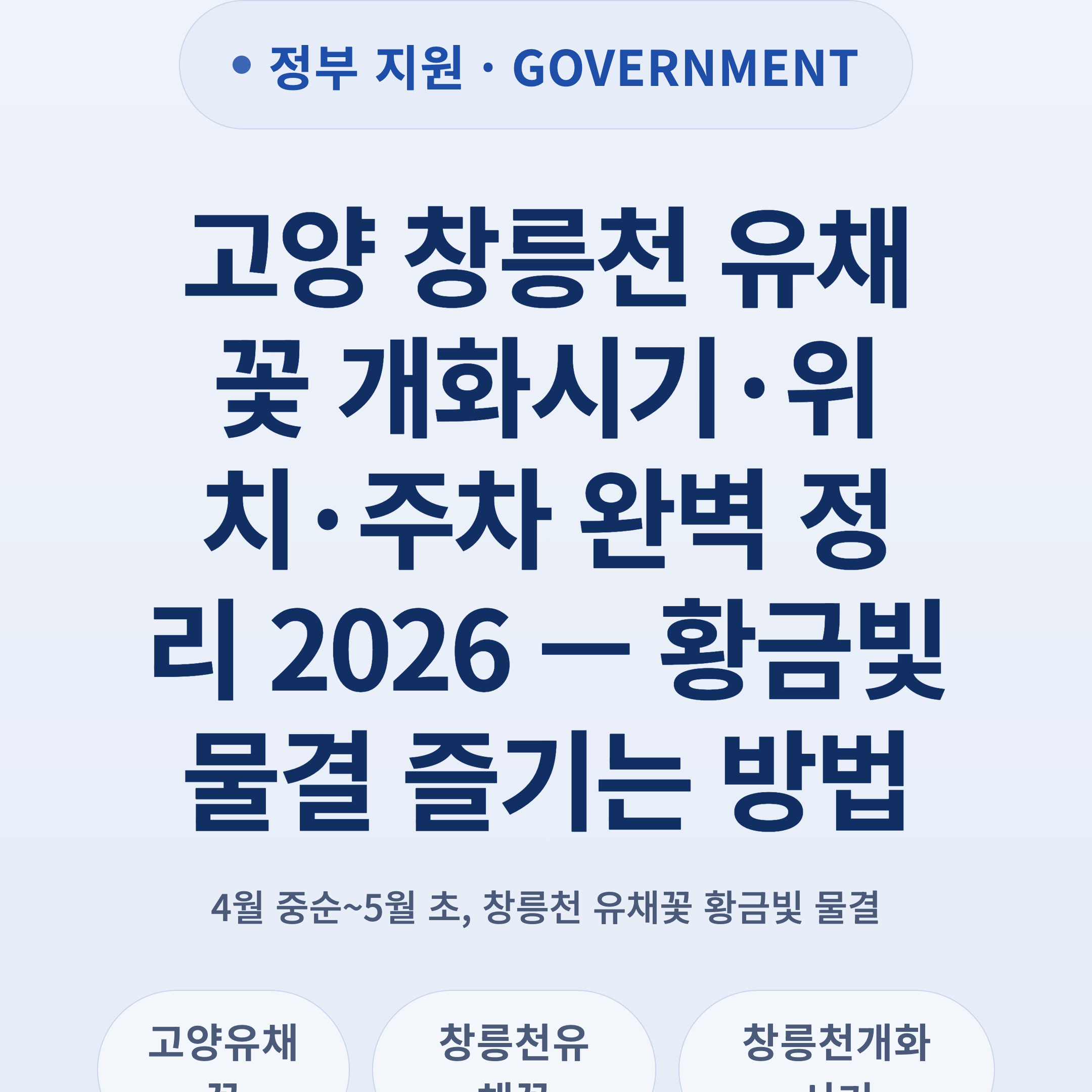 고양 창릉천 유채꽃 개화시기·위치·주차 완벽 정리 2026 — 황금빛 물결 즐기는 방법