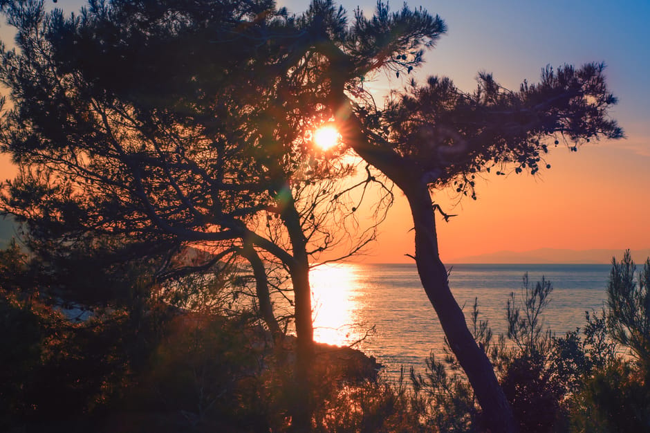 Captivating sunset over the sea in Croatia with silhouettes of trees.