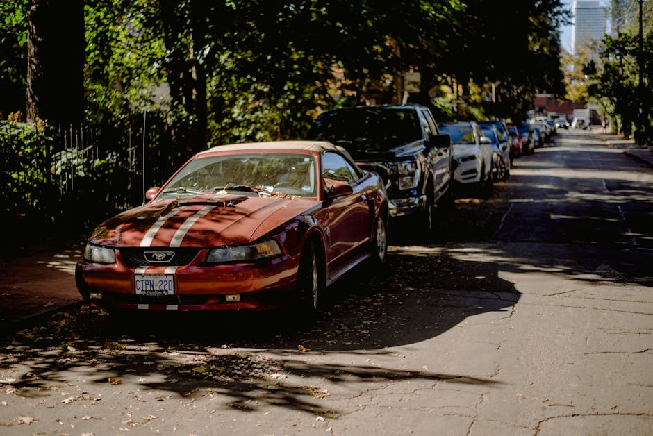 A red Ford Mustang parked along a tree-lined city street on a sunny day.