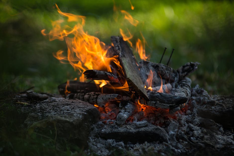 A vibrant campfire burning outdoors surrounded by green foliage, perfect for camping or wilderness scenes.