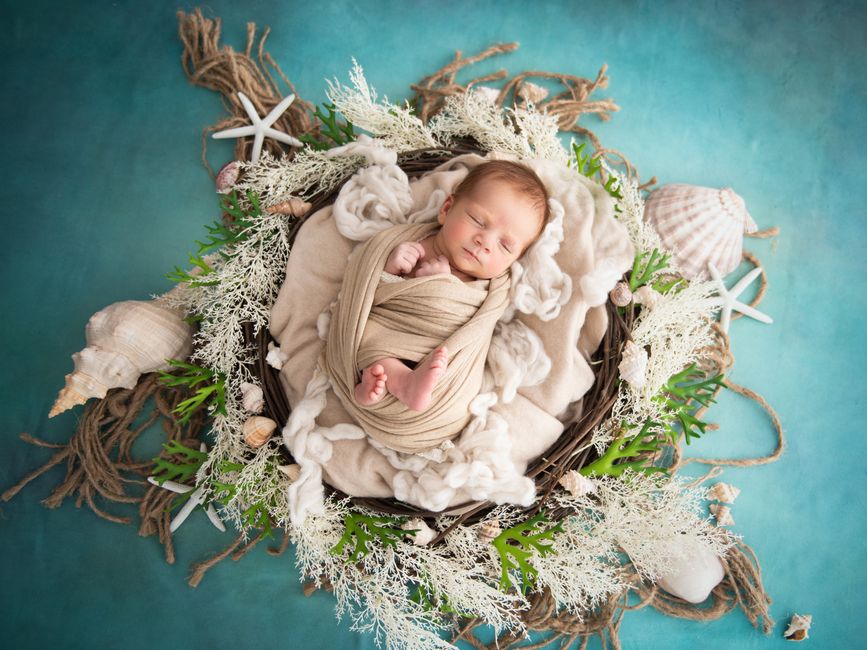 A sleeping newborn wrapped snugly in a nest with seashells, perfect for nature-themed nursery art.