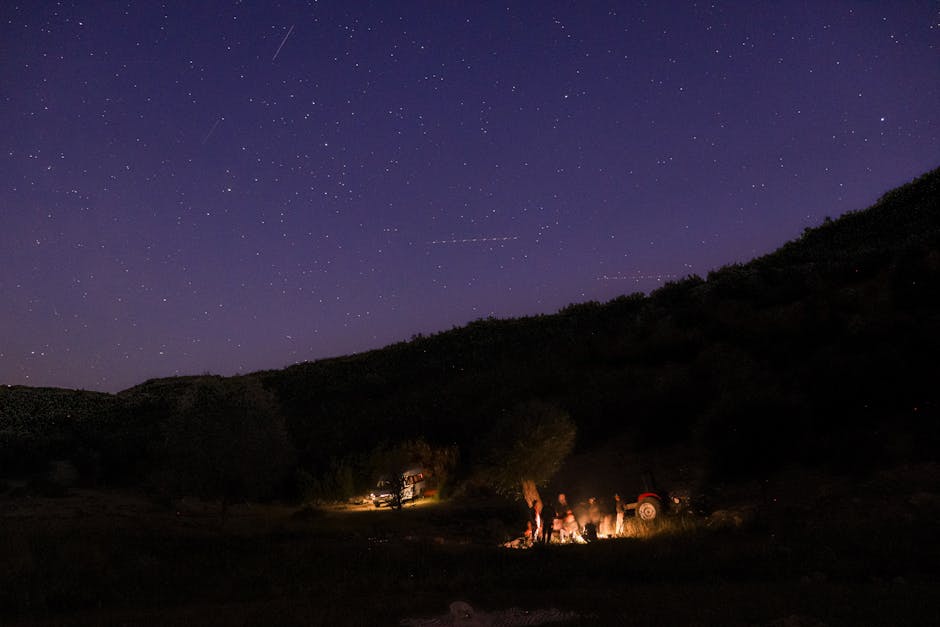 A group enjoying a campfire under a starry sky in a tranquil wilderness scene at night.
