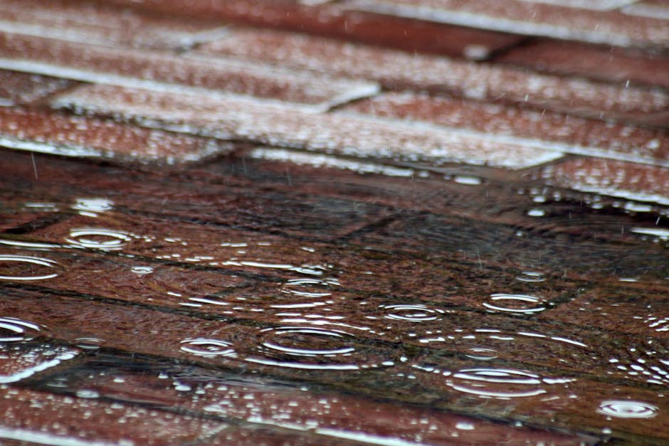 Close-up of raindrops forming ripples on a wet brick pavement, capturing the essence of a rainy day.