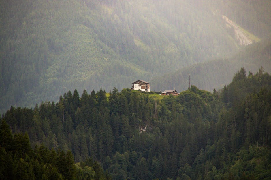 A mountain chalet atop a forested hill offers a serene and isolated retreat.