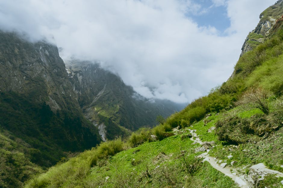 Explore a scenic mountain path enveloped by lush greenery and towering cliffs in this summer landscape.