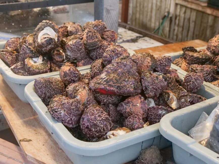 Close-up of a seafood selection featuring fresh shellfish at a vibrant fish market.