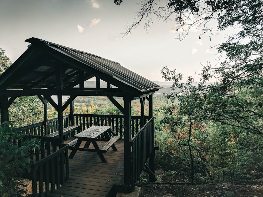 A serene viewing platform amidst lush trees offers scenic forest views in Canada.