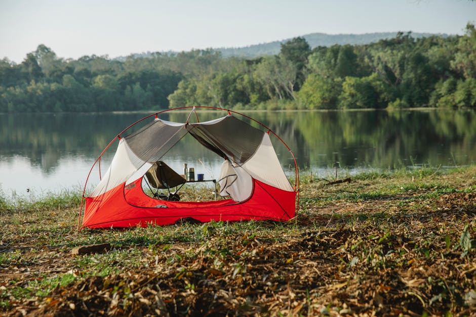 Scenery view of tent on grass coast against lake reflecting green trees under light sky on sunny day