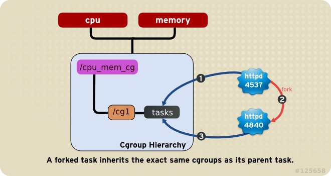 cgroup-rule4