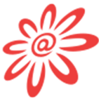 zhangshangshenghuo(1)