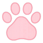 v2paw