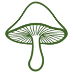 jianshouqing(1)-emby