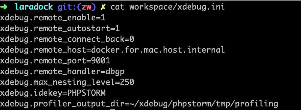 workspace/xdebug.ini