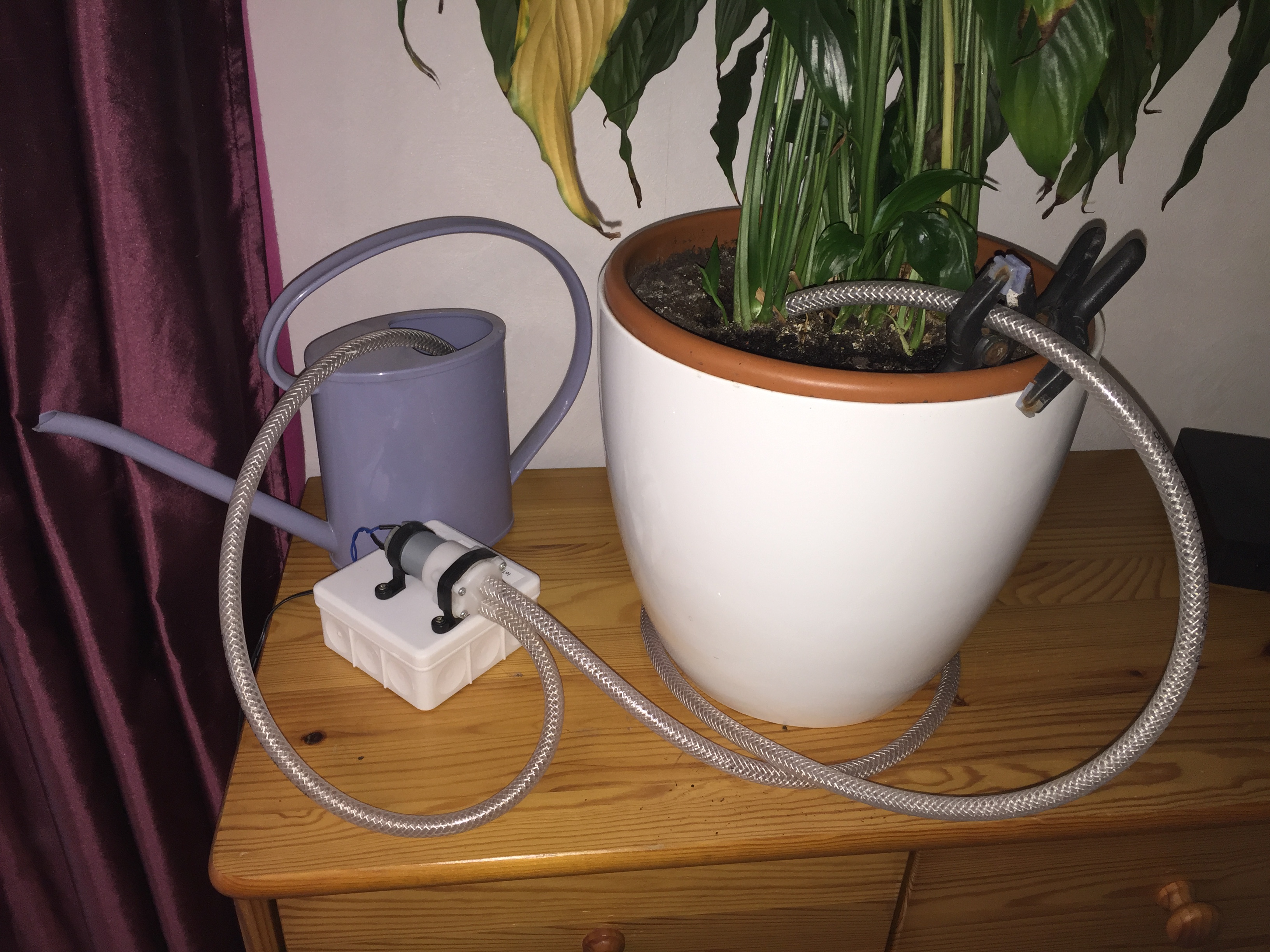 IoT Household Plant Watering System