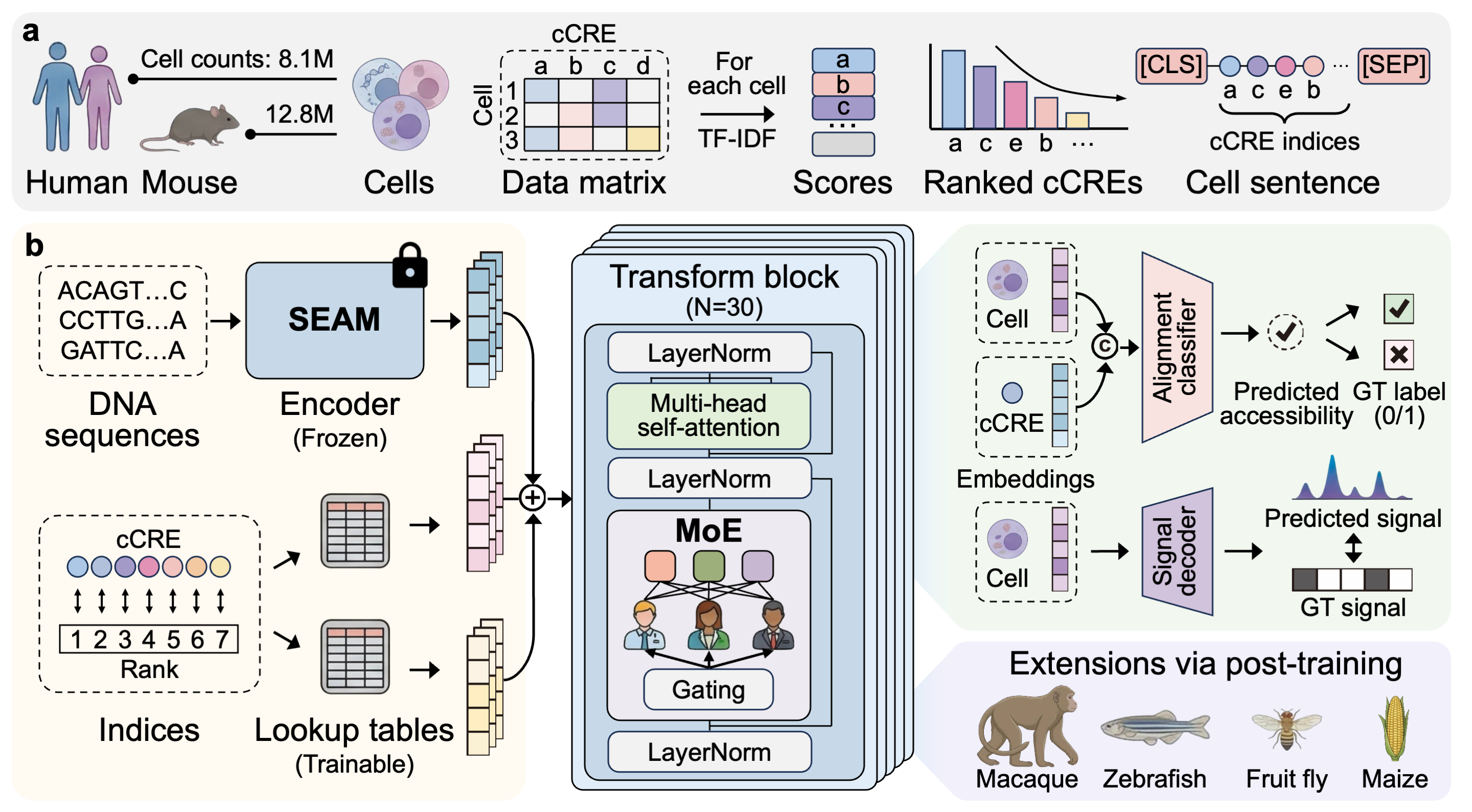 Examples Of Cell Projects GitHub - likeyi19/EpiZoo: A sequence-aware foundation model for cross ...