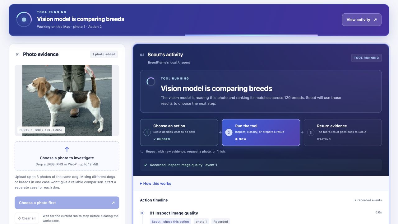BreedFrame's photo workspace with a beagle photo and Scout running the vision model. The activity panel shows the choose-action, run-tool, and return-evidence steps.
