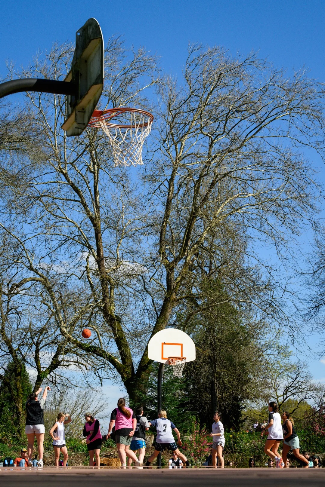 Ball Out Portland