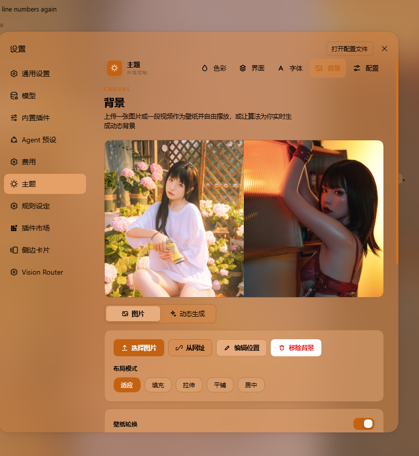 Theme settings: the background page