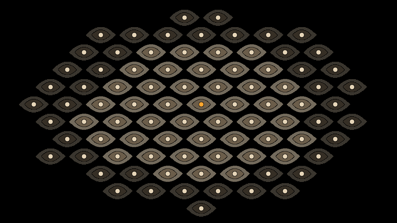 Eyes: Concentric ovals