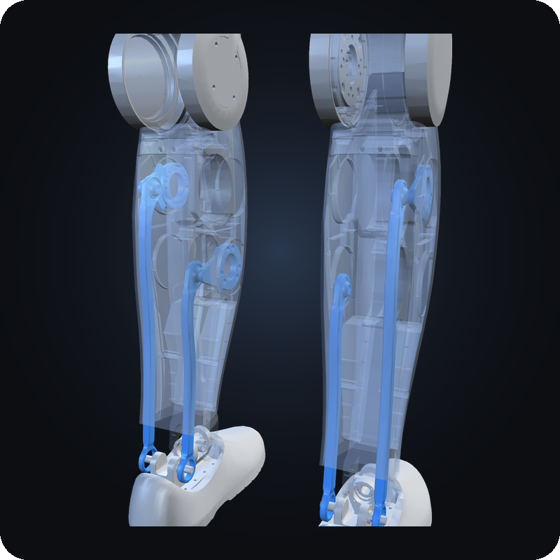 HU_L04 ankle parallel linkages