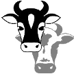 Bulls and Cows game icon