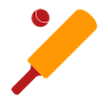 Cricket Quiz icon