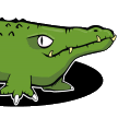 Crocodile Finder icon