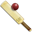 Cricket Quiz icon