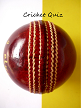 Cricket Quiz icon