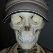 DoctorBones icon