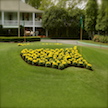 The Masters Trivia icon