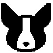 Corgi Quiz icon