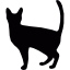 Cat Facts icon