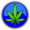 Medical Marijuana Trivia icon