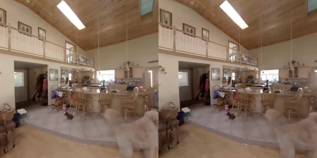 Immersive 360° stereo 3D