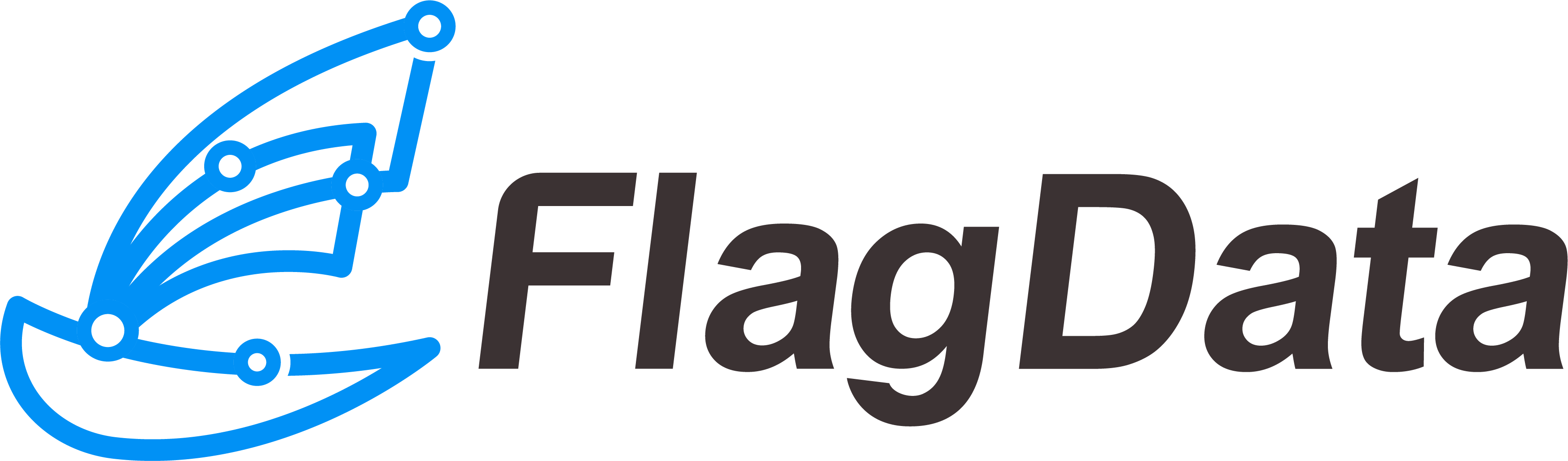 FlagData